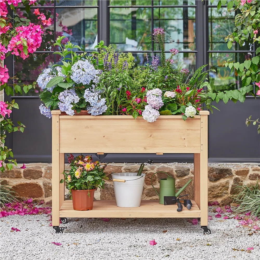 Alhanouf Wood Raised Garden Bed | Wayfair North America