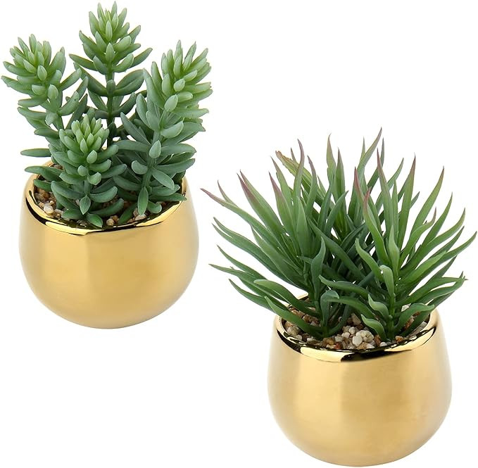 DILATATA Small Artificial Succulents in Pots Set of 2 Realistic Faux Succulents Plants with Gold ... | Amazon (CA)