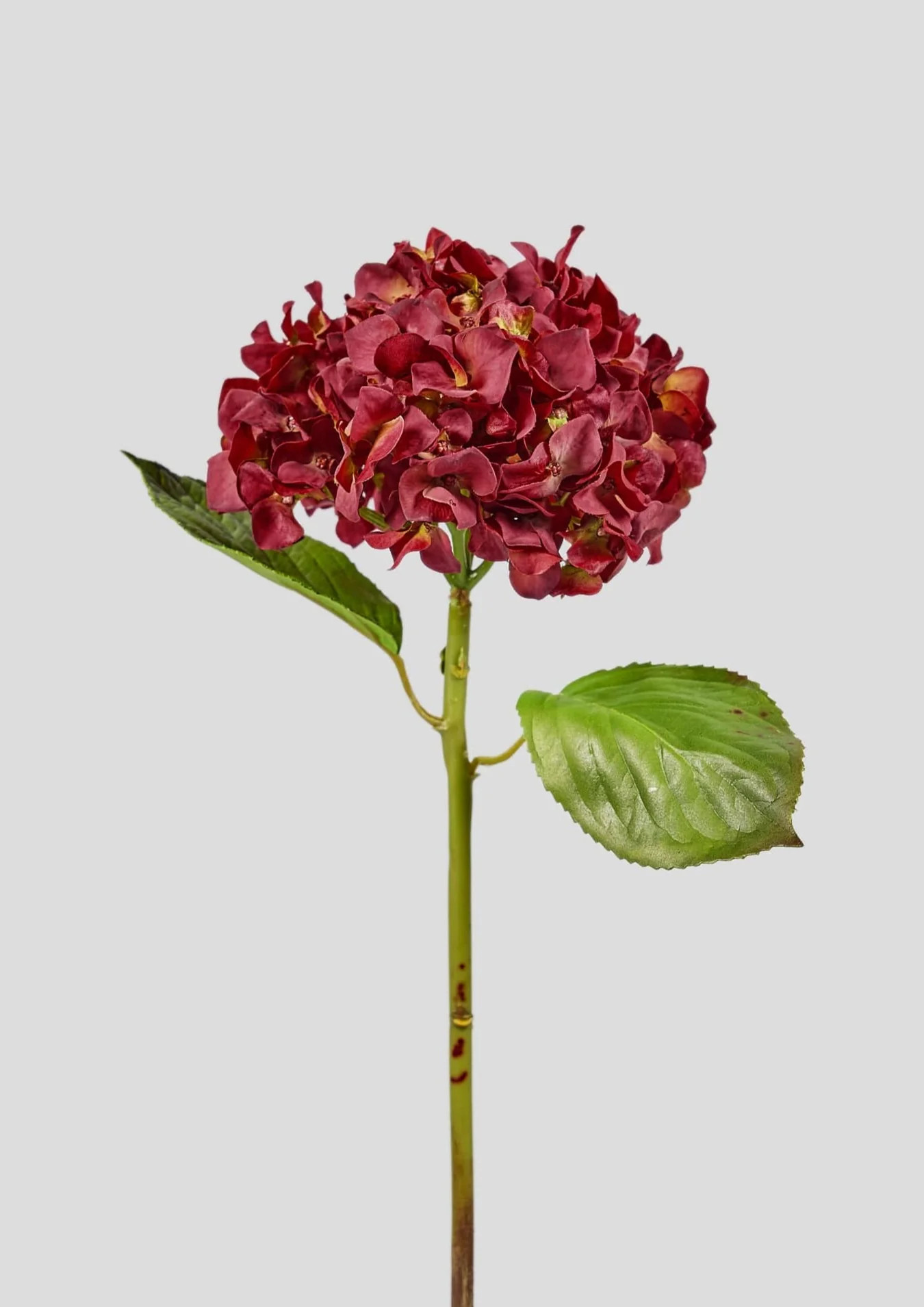 Red Real Touch Hydrangea - 18" | Afloral