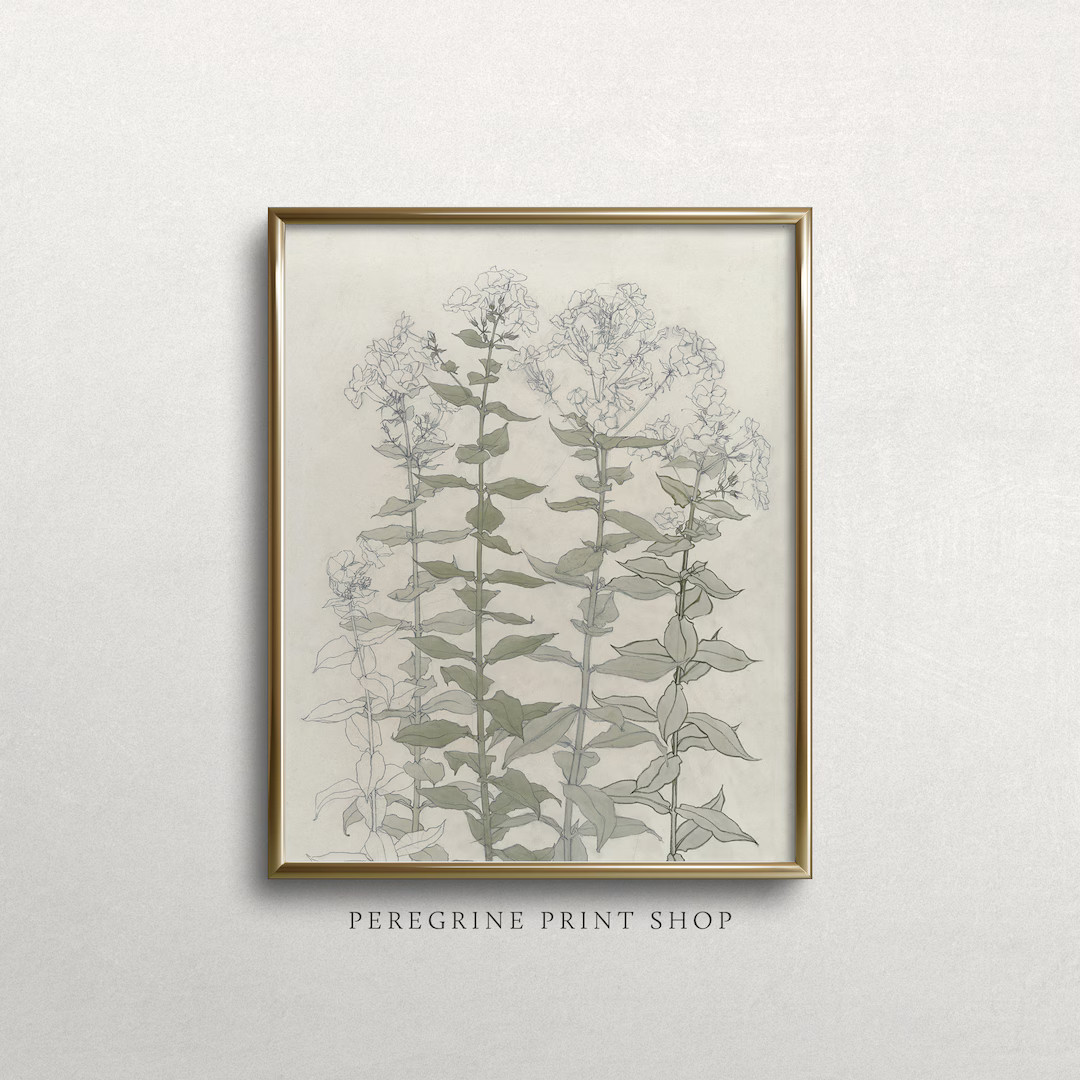 Monarch Milkweed  Vintage Watercolor Art Print  Weed Art - Etsy | Etsy (US)
