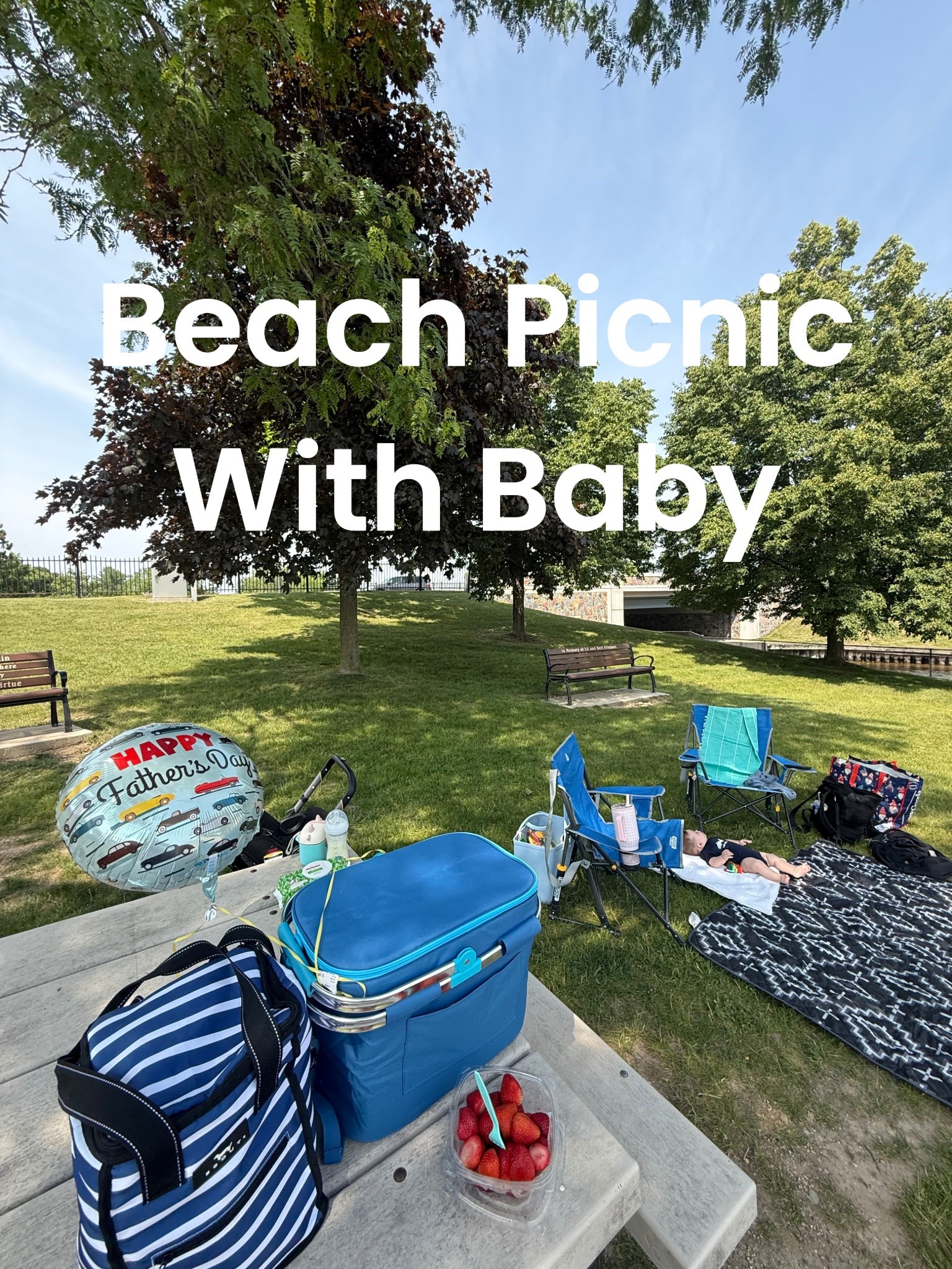 Beach picnic set up for Father’s Day has everything we love for our family of 5 

#LTKFamily #LTKSummerEdit #LTKBaby