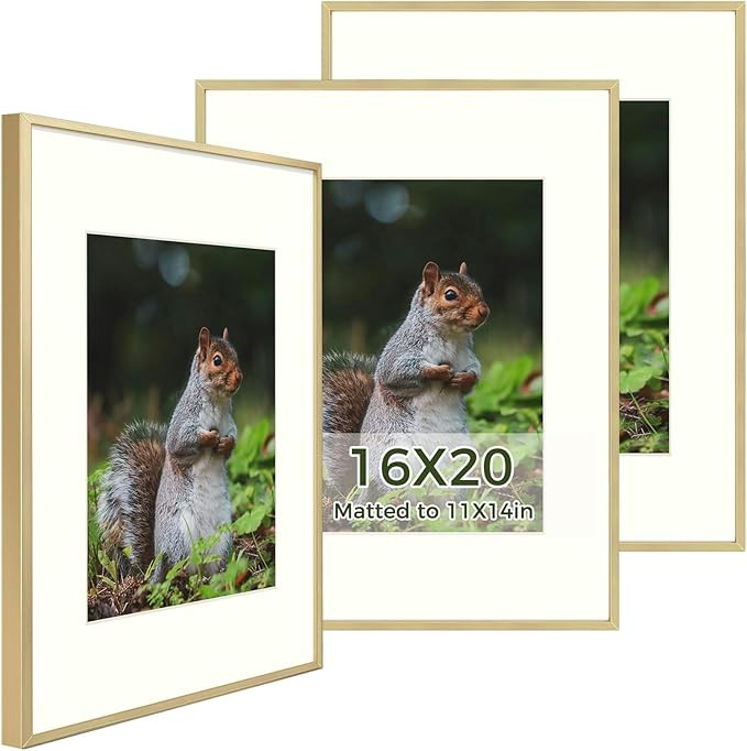 Golden State Art - 16x20 Metal Picture Frames with Mat - Display 11x14 Photo or 16x20 Poster - 16... | Amazon (US)