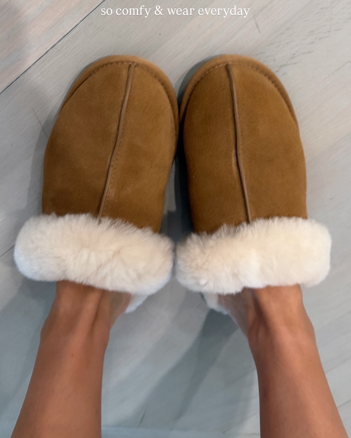 my favorite house slippers! so so comfy 🧸

#LTKShoeCrush #LTKStyleTip