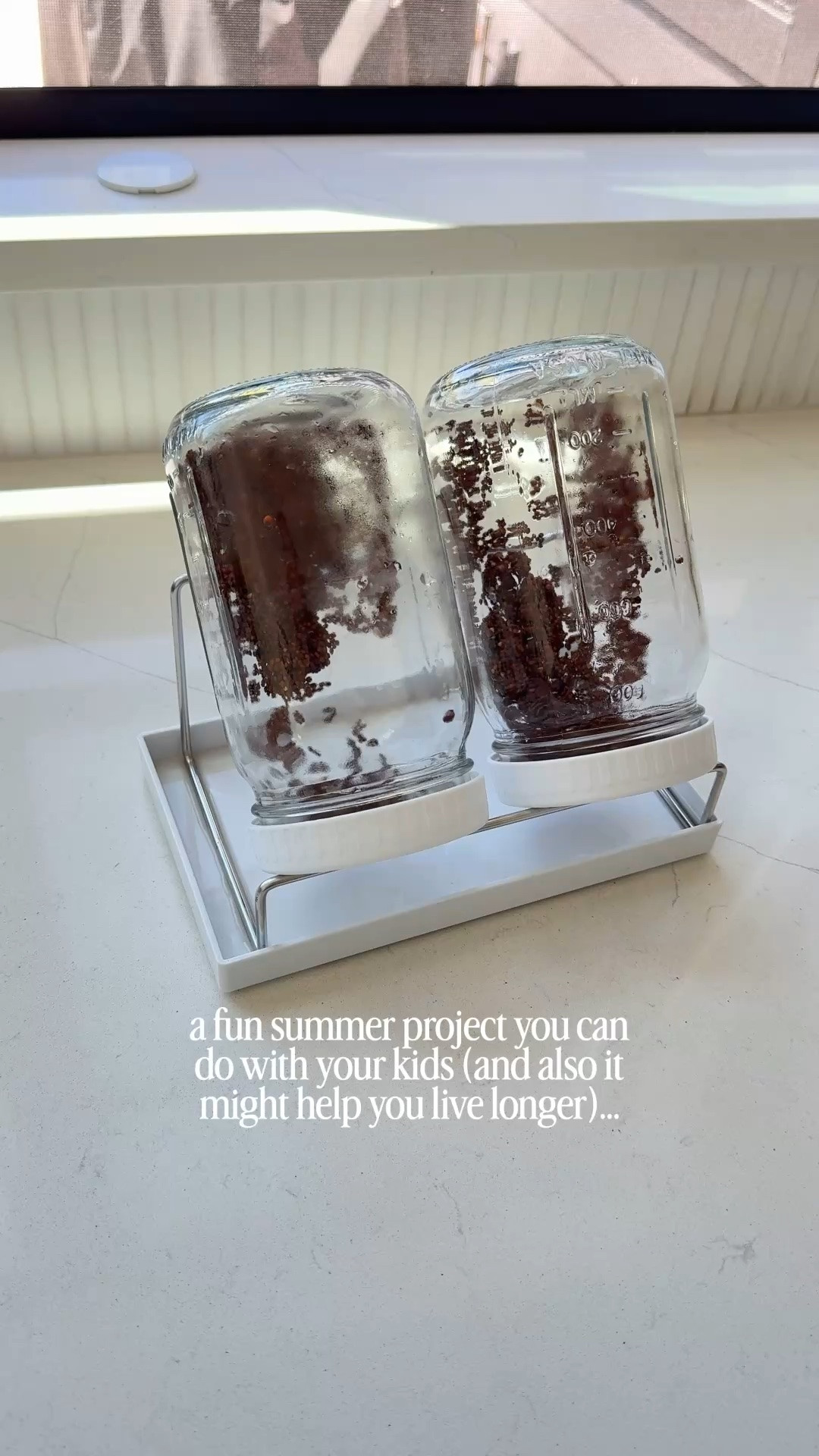 It’s so fun to watch these broccoli sprouts grow in their glass containers! Super easy, just rinse every 8-12 hours.