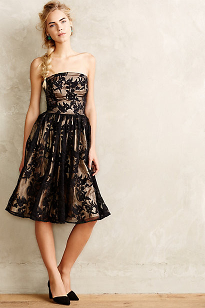 Delancey Lace Dress | Anthropologie (US)
