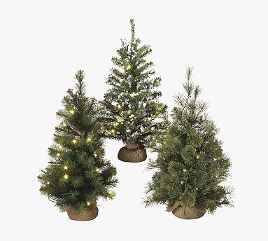 Faux Lit Miniature Trees - Set of 3 | Pottery Barn | Pottery Barn (US)