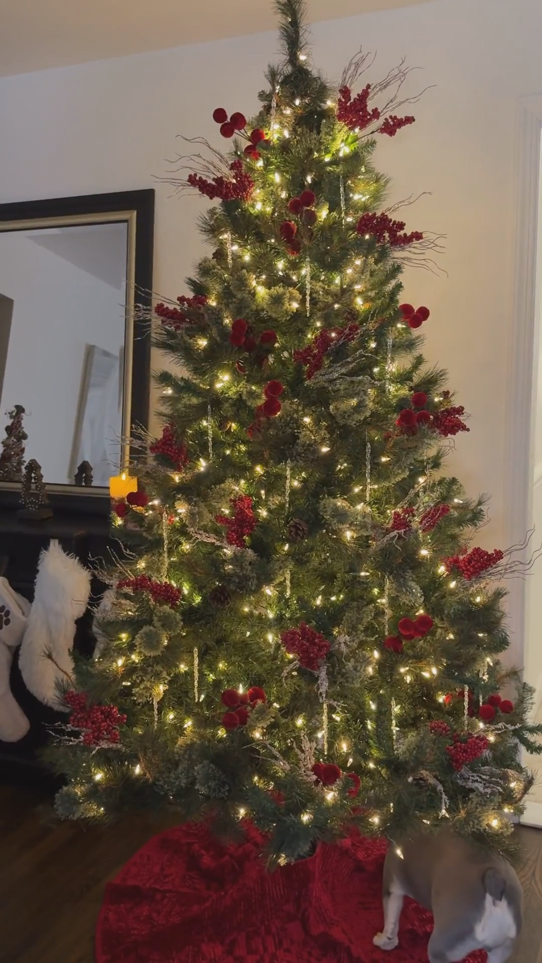 Red Traditional Christmas Tree Under $100🎄 

Found red berries and brown stems at dollar for $1.75 each. Then red velvet ball stems ($2.25 each) and red tree skirt for $22 at Hobby Lobby!





#LTKSeasonal