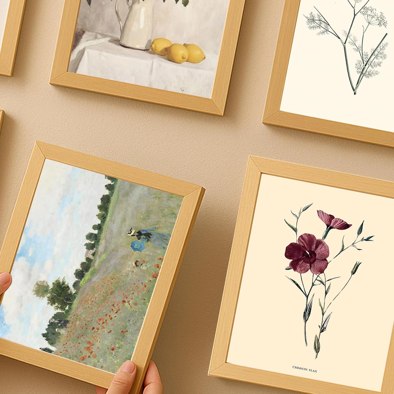 Losyze Vintage Floral Wall Art, 12 Flower Pictures Wall Decor,Antique Floral Prints (Unframed) | Amazon (US)