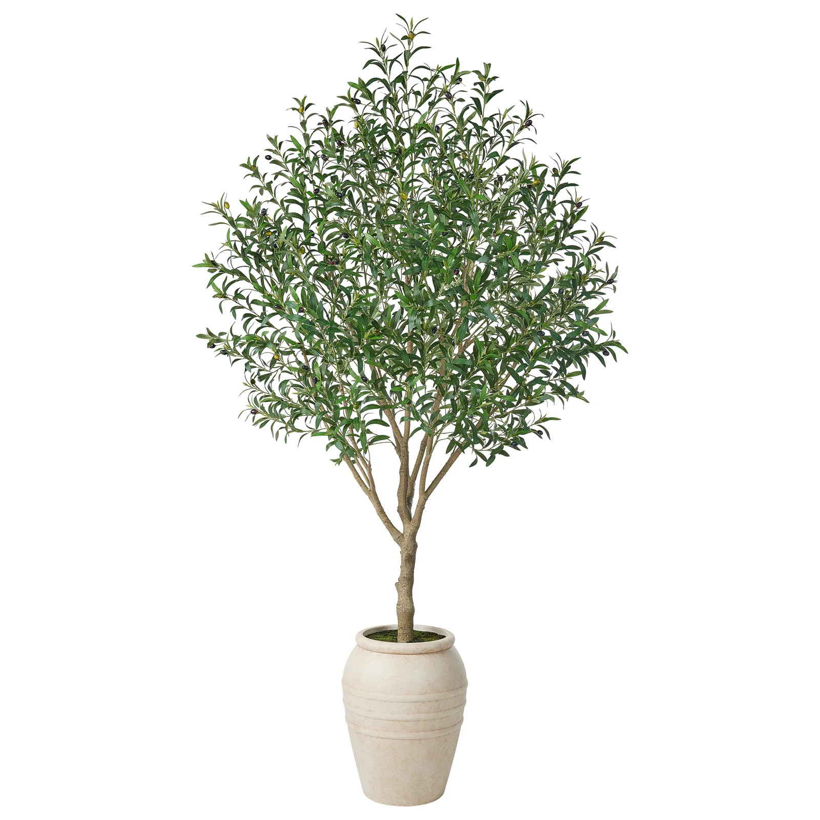 Grand 8Ft-9Ft Artificial Olive Tree With Life-Like Multi-Colored Fruits - Ultra-Lush Faux Tree In... | Birch Lane