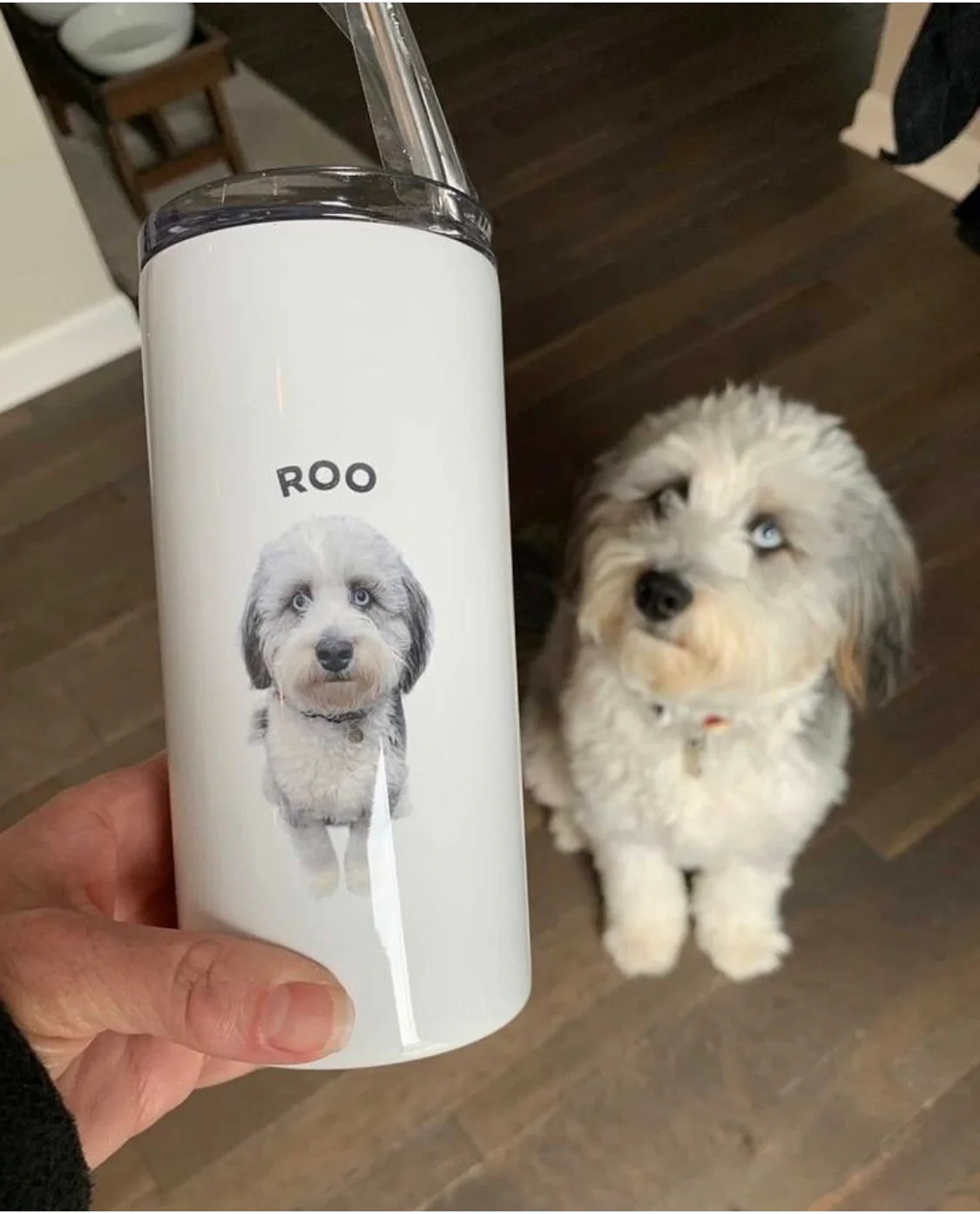 Personalized Pet Skinny Tumbler | Type League Press