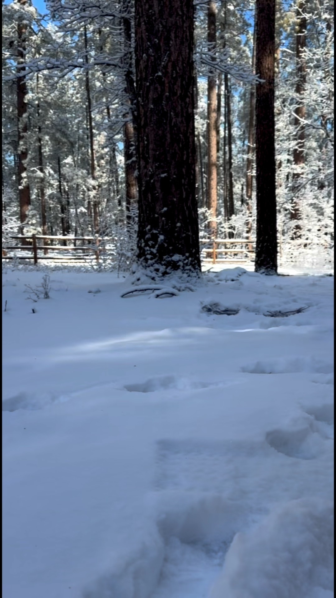 From snow days to swim days my @boggbags has me covered. I use this as for everything, life as a mom of two gets messy and this bag can thought through it all. Also aren’t the Valentine’s Day bags the cutest?!

#LTKmomlife #LTKValentine #LTKdayinmylife
