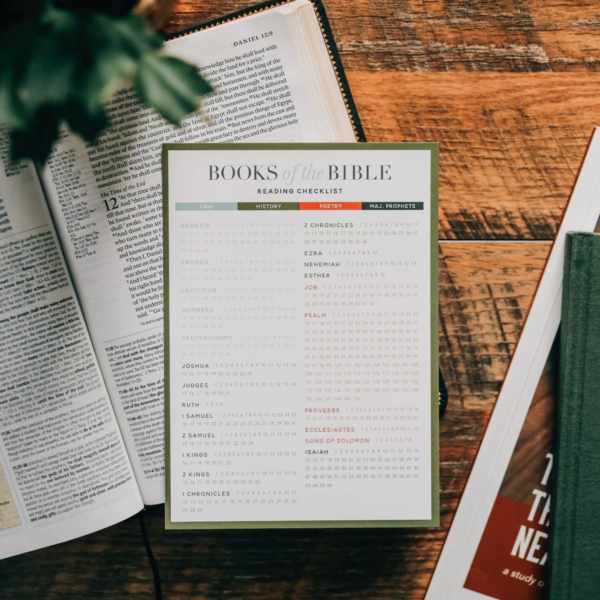 Books of the Bible Reading Checklist - Men | The Daily Grace Co.