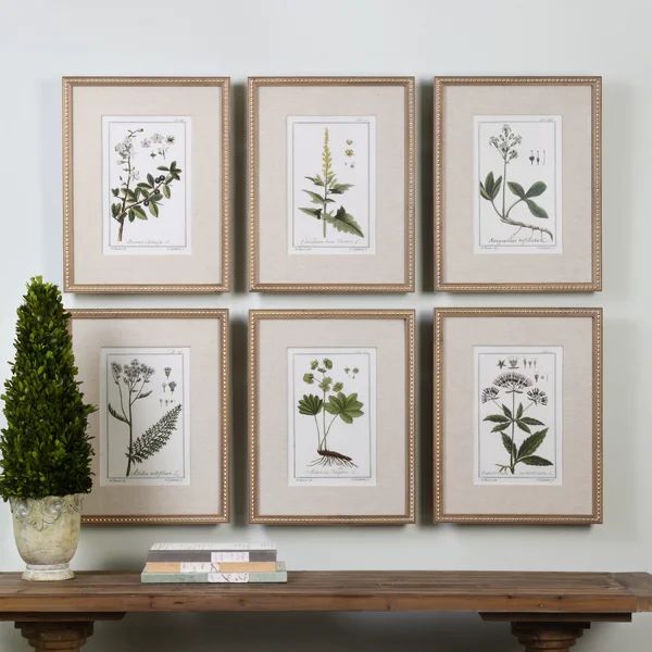 'Floral Botanical Study' by Grace Feyock - 6 Piece Picture Frame Graphic Art Print Set on Paper | Wayfair North America