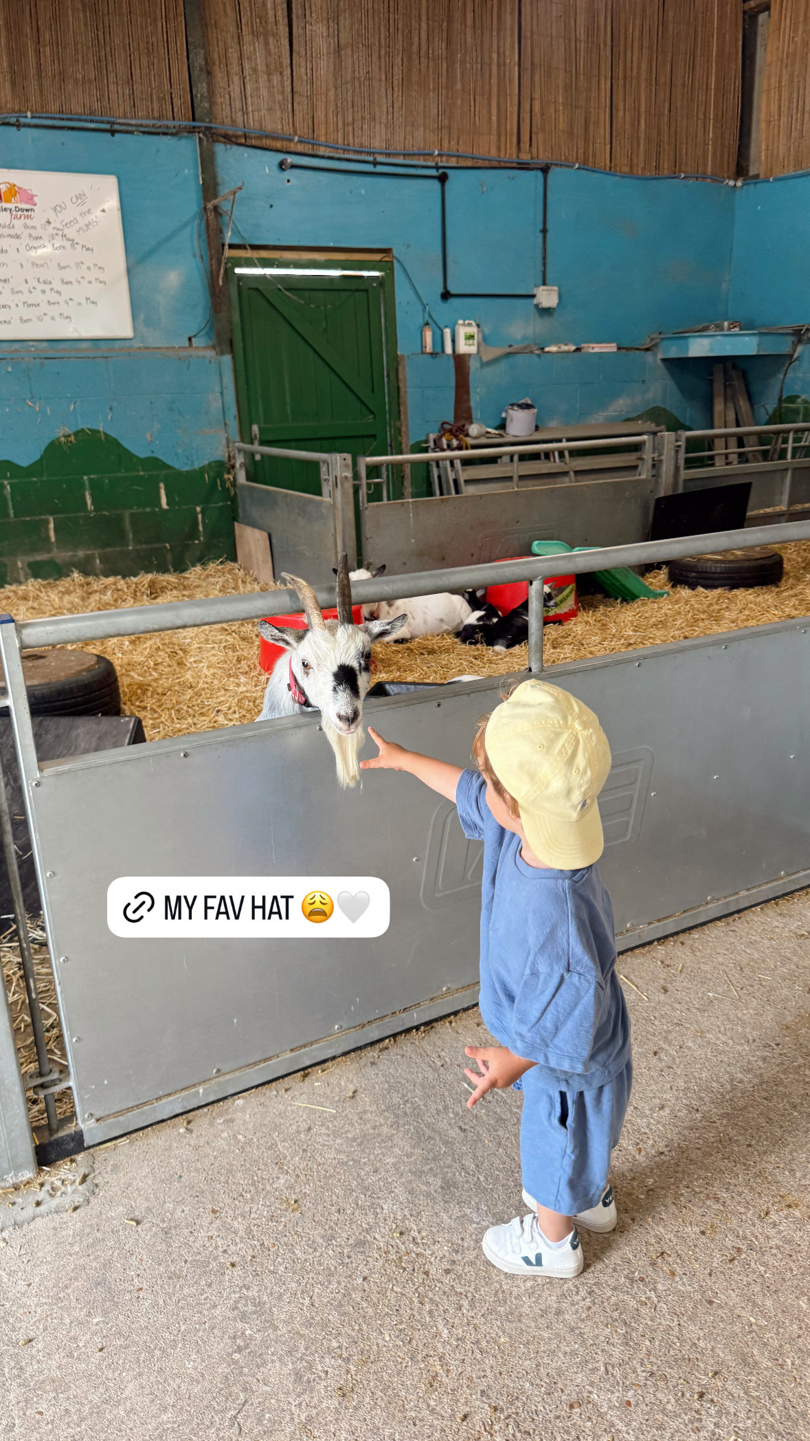 Monty's outfit is Next UK but isn't linkable! 

toddler l hat l sneakers 

 #LTKkids