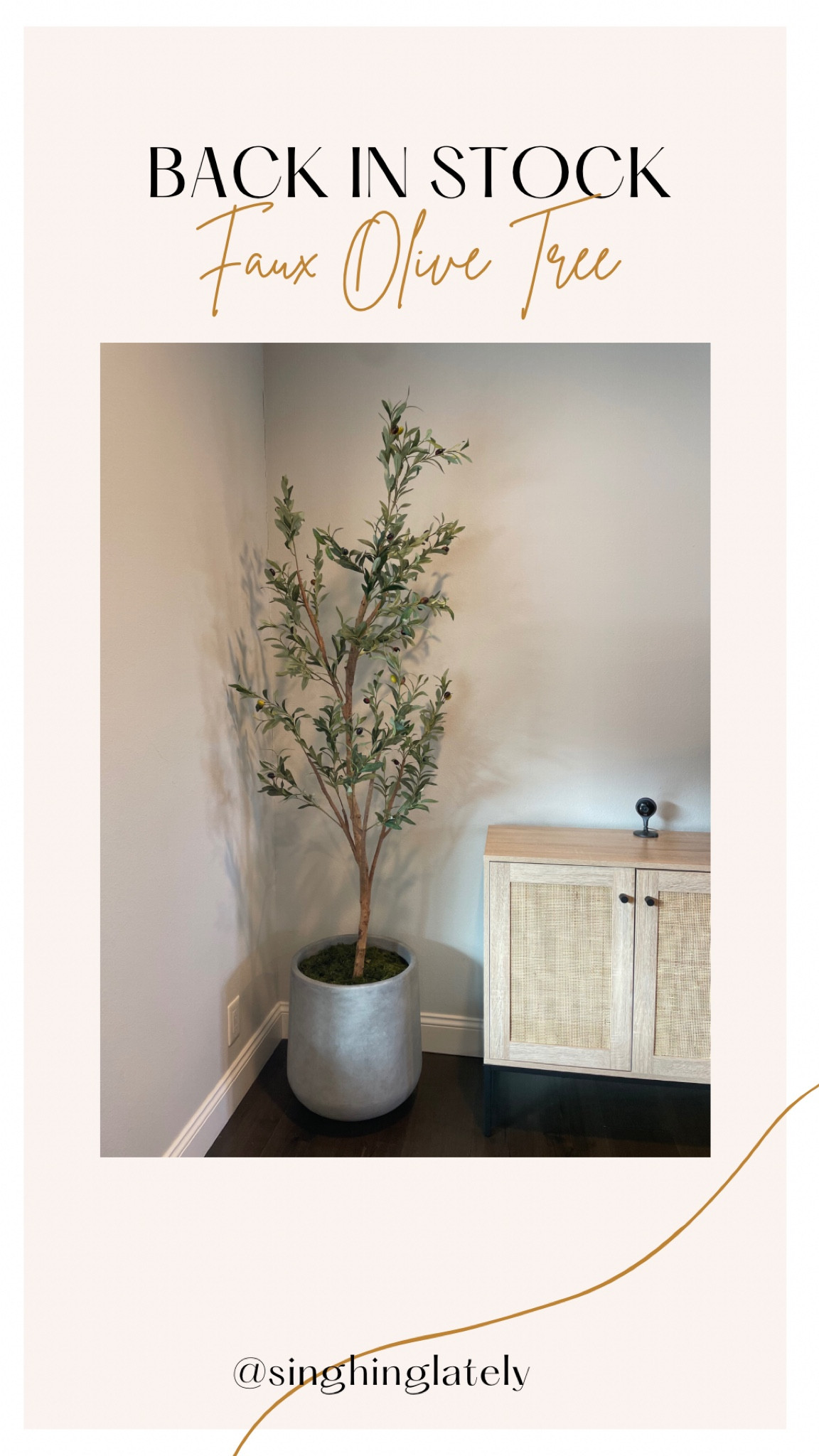 My faux olive tree is back in stock and currently on sale 

#LTKfindsunder50 #LTKsalealert #LTKhome
