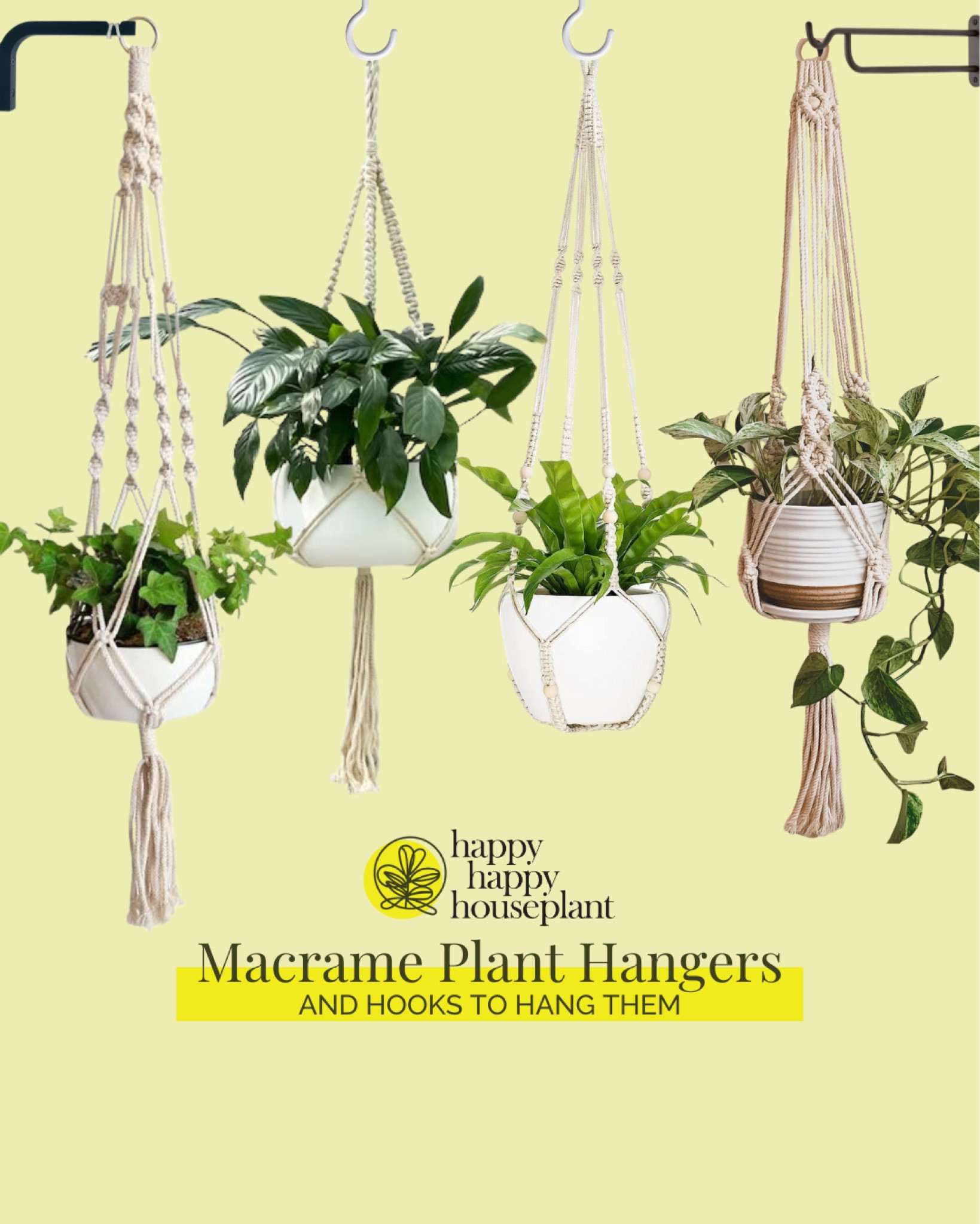 If you are short on counter/floor space or you just want some varied height, a hanging plant is the way to go! They look good in every room! Linked are macrame plant hangers I love, and hooks to hang them.

Recommended plants for a hanging planter:
-Pothos
-Hoya
-Heart Leaf Philodendron


#LTKhome #LTKfindsunder50 #LTKSeasonal