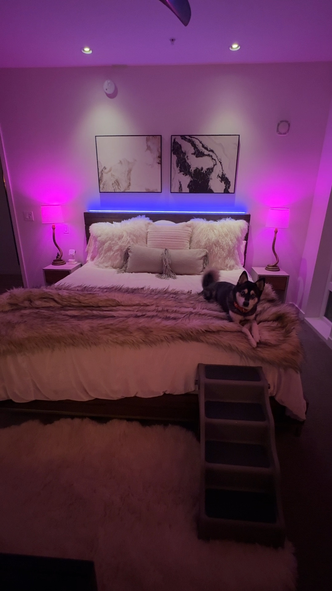 A bed fit for a king (Creature)

Duvet is a crushed velvet from west elm’s holiday collection 2 years ago but linked similar options

Faux fur blanket is super heavy, warm and my favorite blanket. Color pictured is bleached finn 


#LTKFindsUnder100 #LTKFindsUnder50 #LTKHome