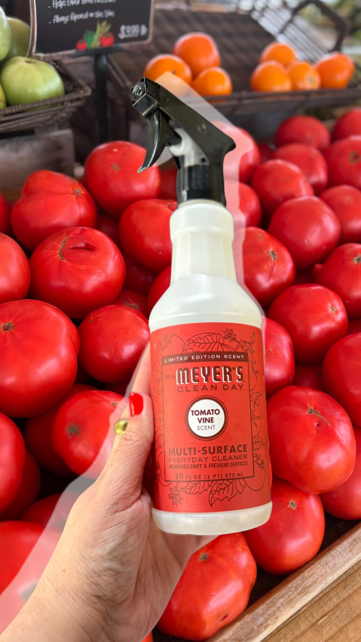 I love the Mrs Meyers Tomato Vine scent. It smells a little herbaceous, but also clean.  It does ... | Amazon (US)