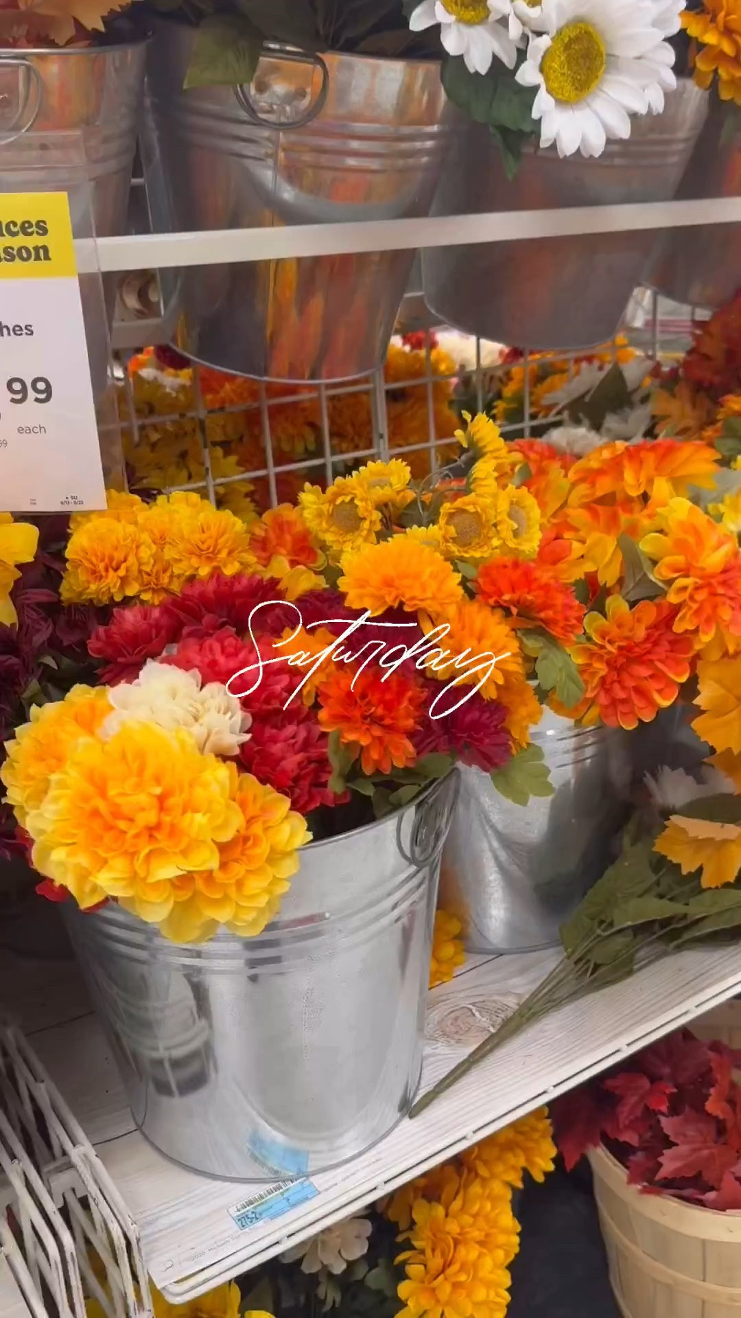 A little fall florals never hurt anyone 🍁🍂🌻

#LTKHome #LTKVideo #LTKFindsUnder50