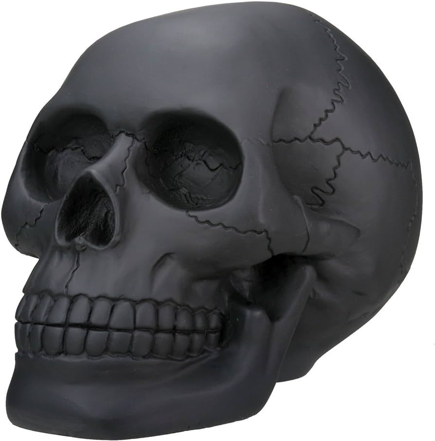 StealStreet Black Skull Head Collectible Skeleton Decoration Statue | Amazon (CA)