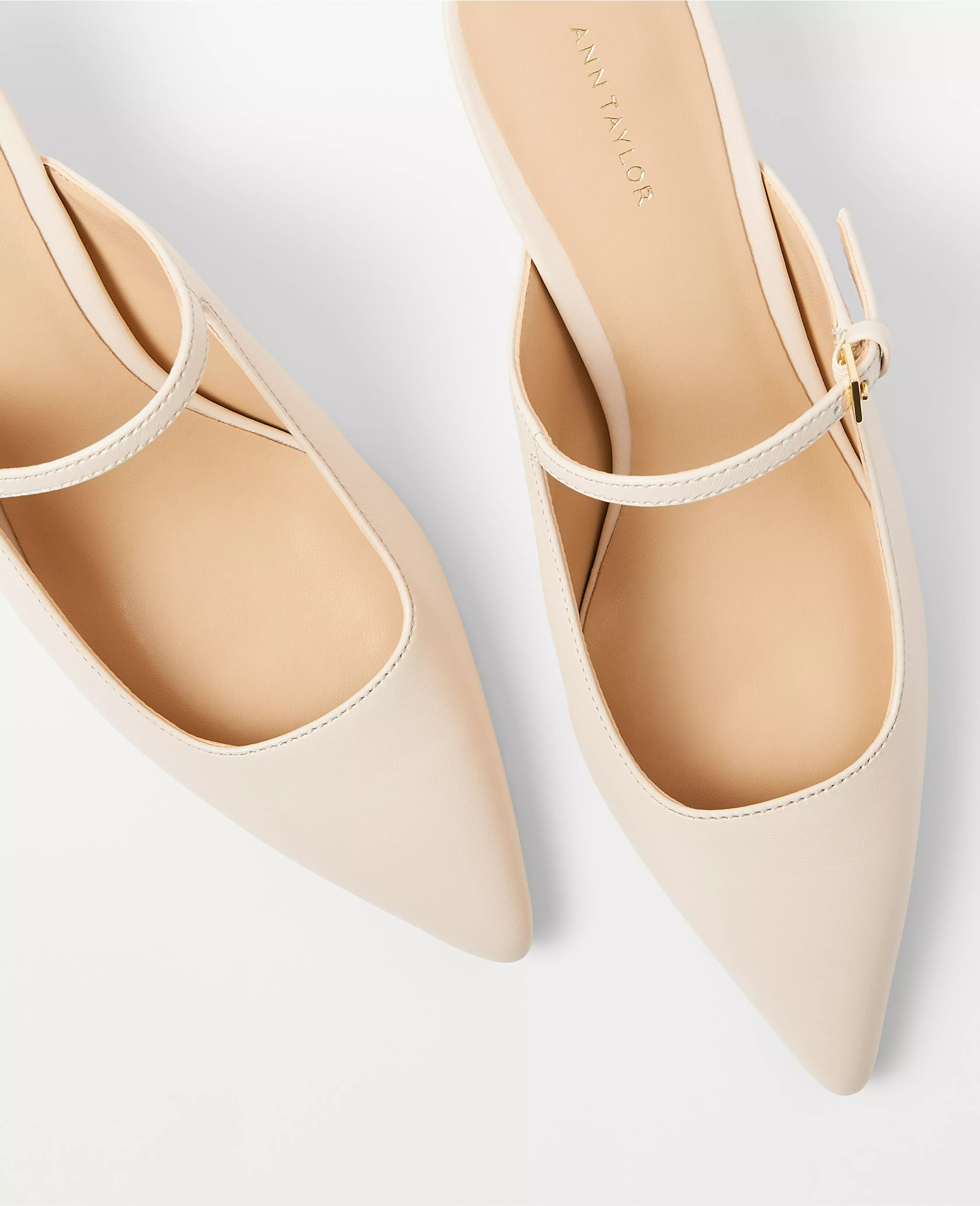 Ann Taylor | Ann Taylor (US)