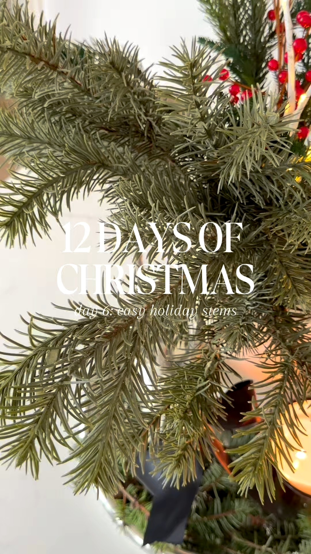 12 Days of Christmas: Day 6!

Here is a quick and easy way to create a beautiful holiday arrangement:
- Start with a tall Urn/Pot
- Add five sturdy pine stems
- Add three alternative stems
- Two light up branches
- Three red berry branches

Voila! The holidays have arrived!💚❤️

#LTKSeasonal #LTKHoliday #LTKHome