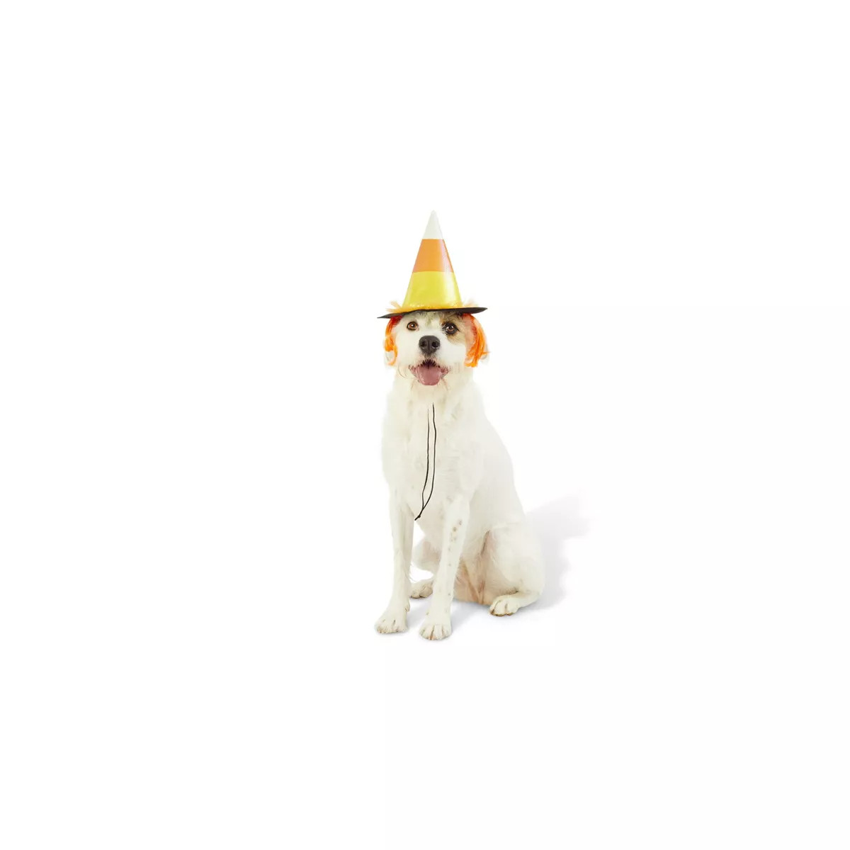 Candy Corn Witch Hat Dog and Cat Costume - Hyde and EEK! Boutique™ Black | Target