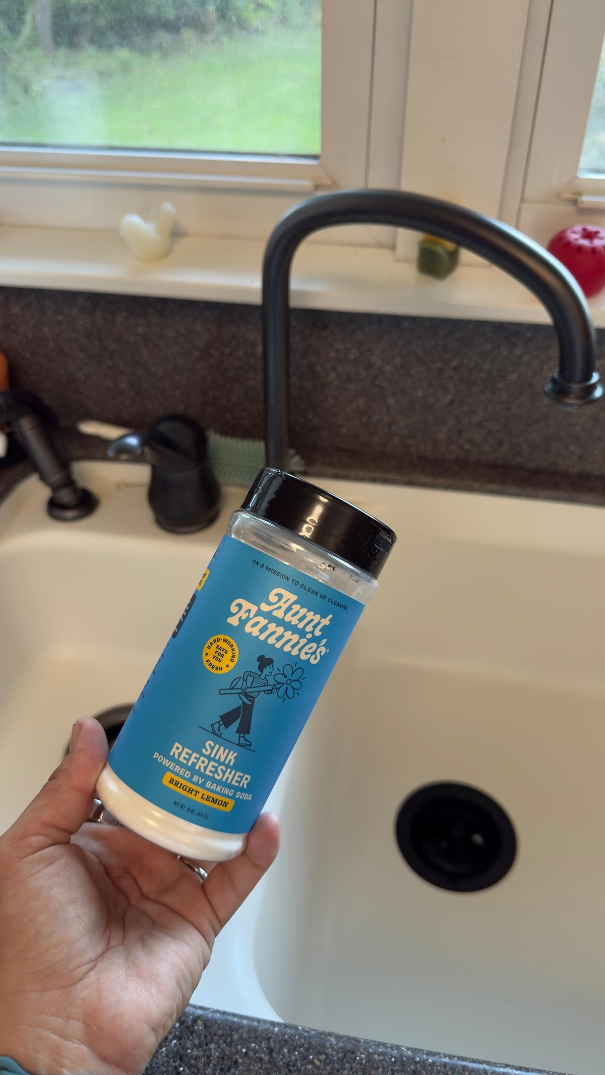 Aunt Fannie's Sink Refresher, Bright Lemon Powder Scrub and Odor Minimizer for Sinks, Drains and Garbage Disposals, 16 Ounces (Pack of 1) | Amazon (US)