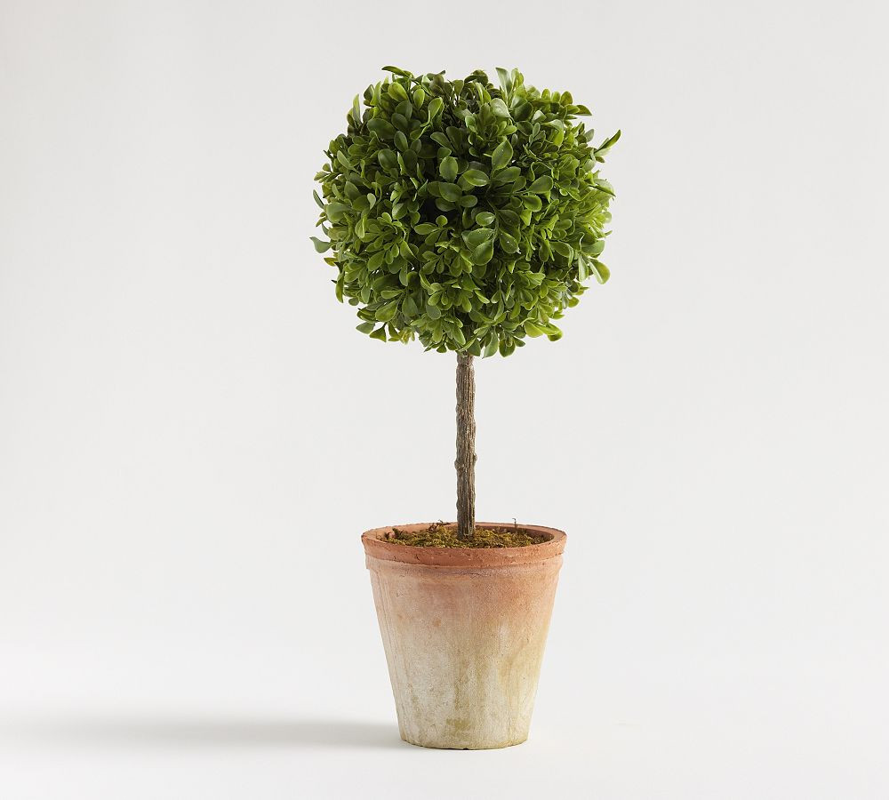 Faux Boxwood Topiary | Pottery Barn (US)