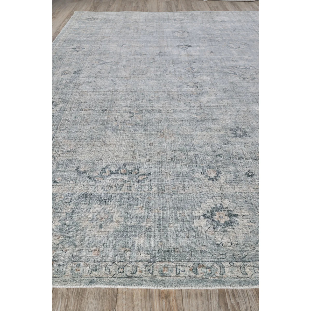 Cambridge Oriental Indoor Rug | Wayfair North America