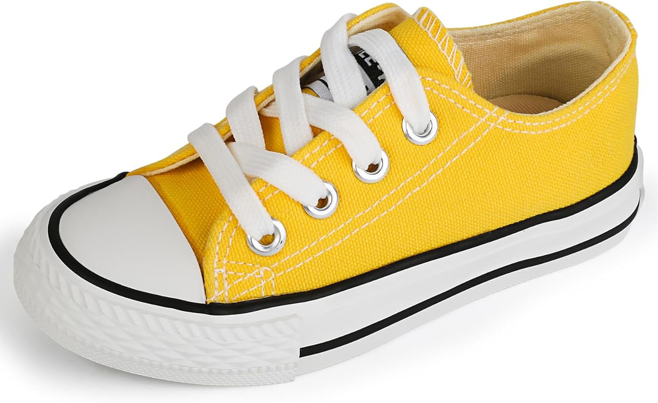 Hagdon Toddler Boy and Girls Shoes Little Kids Lace-up Slip on Canvas Sneakers | Amazon (US)