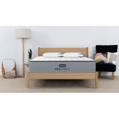 Bear Pro Hybrid Mattress | Wayfair North America