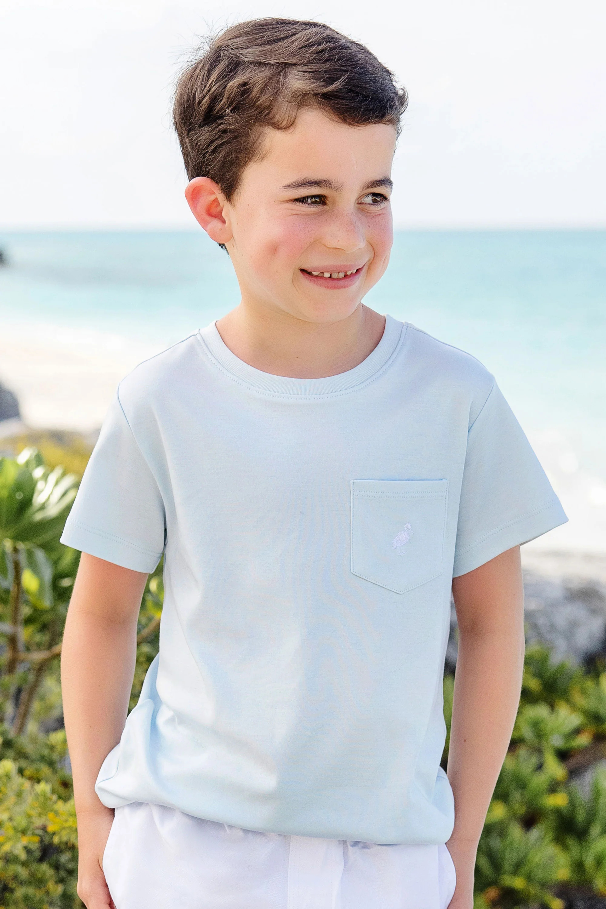 Carter Crewneck - Buckhead Blue with Worth Avenue White Stork | The Beaufort Bonnet Company