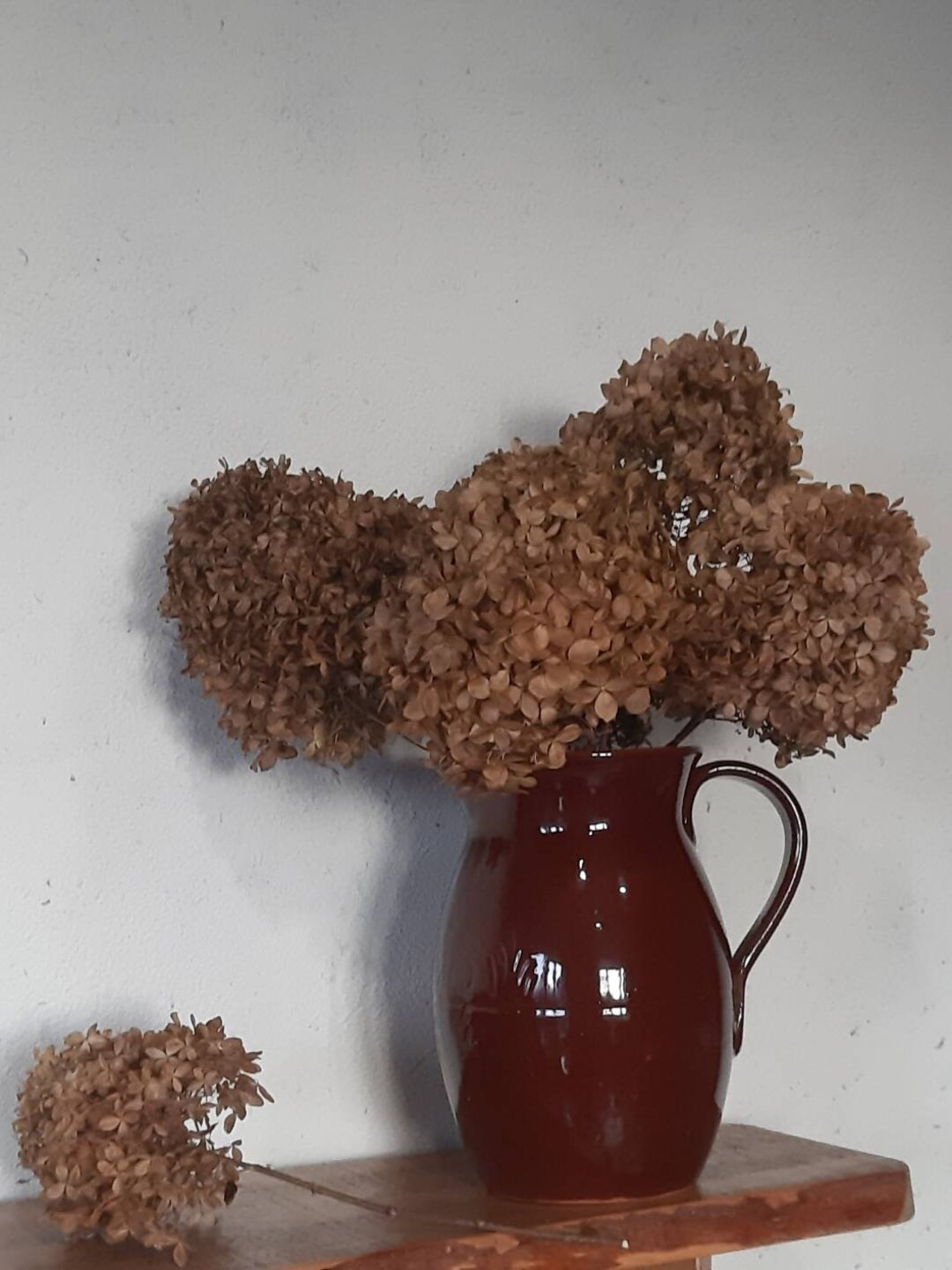 Dried Brown Hydrangeas 7 Flowers Heads With Stems Natural Hortensia Brown Heads Flowers Brown Col... | Etsy (US)