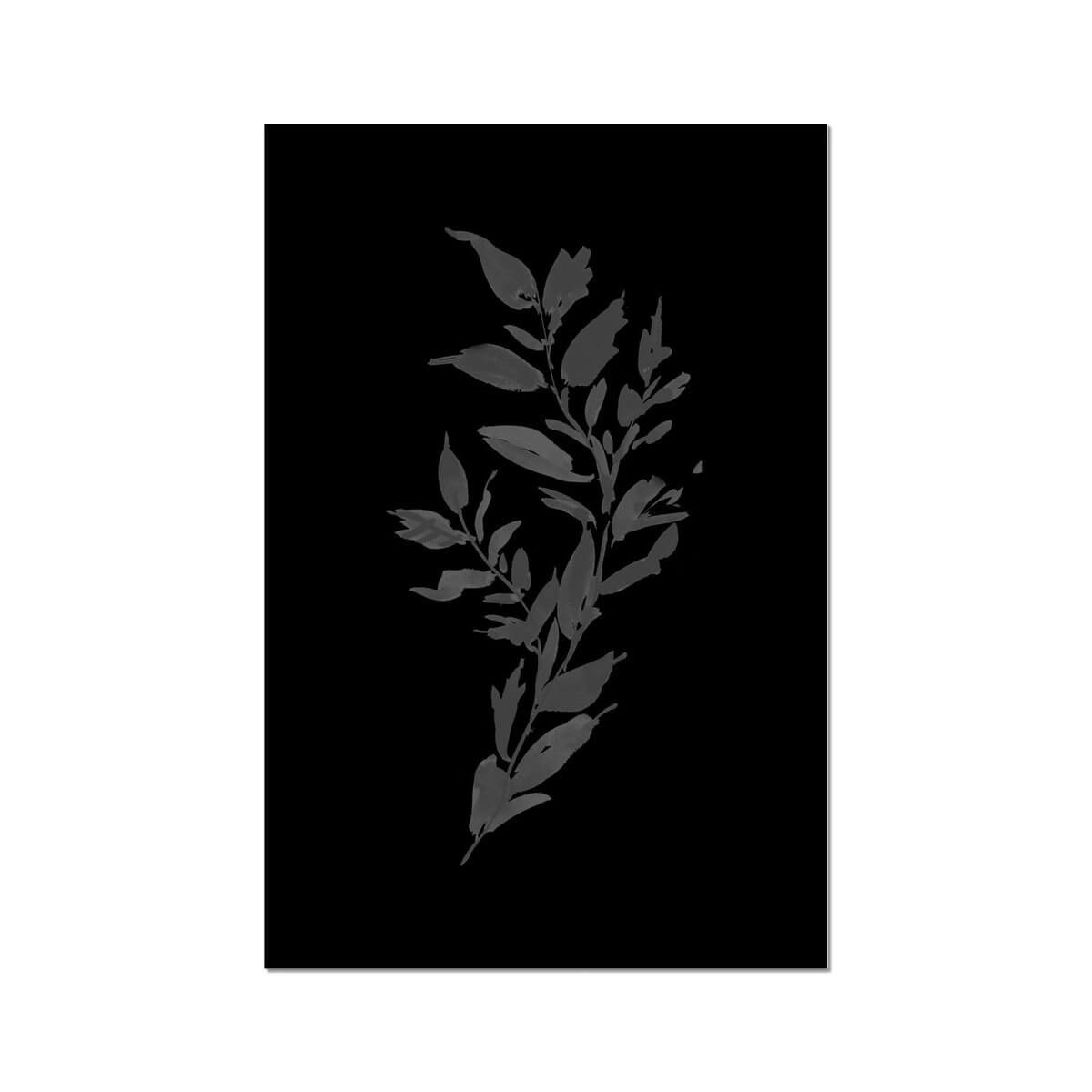 Sage II | North and Finch