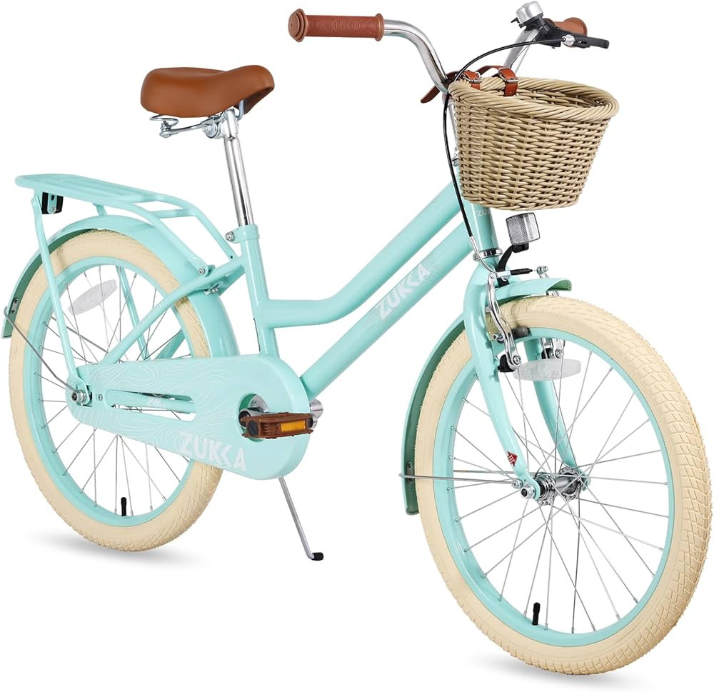 Girls Bike with Basket, 20 inch Kids Retro Cruiser Bike for 7-13 Years Old, Big Kid Bike with Fen... | Amazon (US)