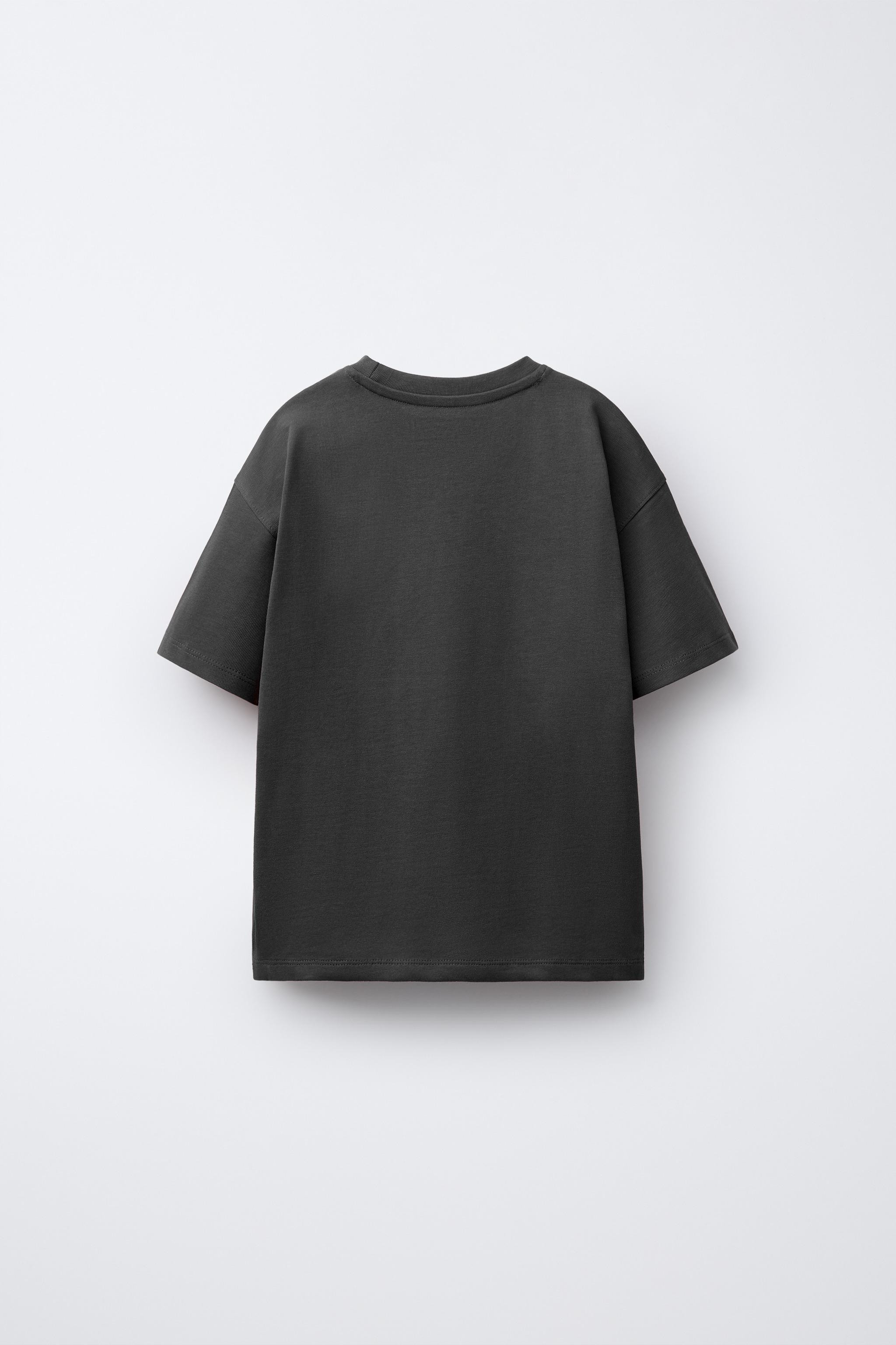 HEAVYWEIGHT EMBROIDERED TEXT T-SHIRT | Zara US