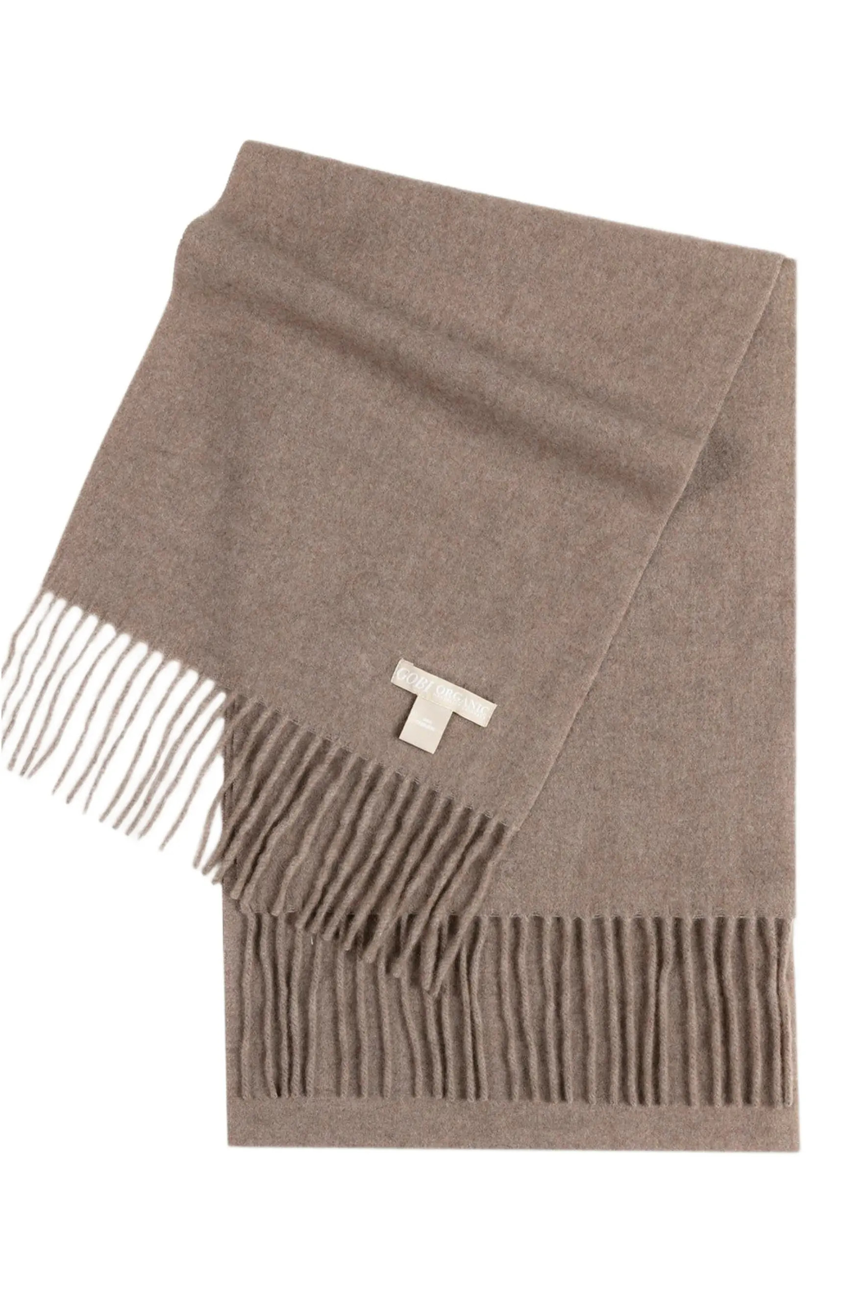 Cashmere Fringed Scarf | Nordstrom