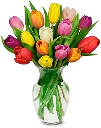 From You Flowers - Rainbow Tulip Bouquet - 15 Stems with Free Vase (Fresh Flowers) | Amazon (US)