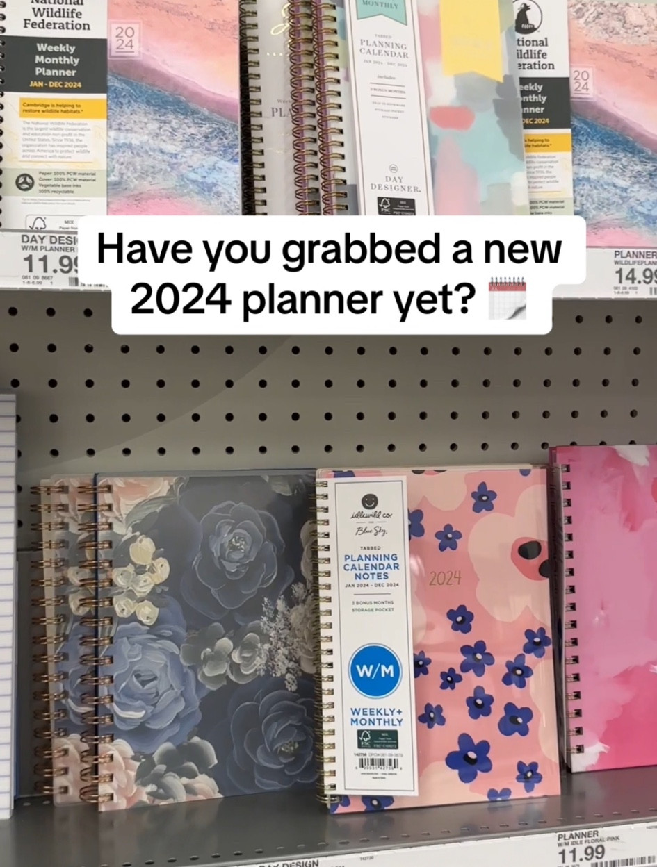 Never too early to start planning 2024! Yearly planners at Target under $20!

#LTKfamily #LTKfindsunder50