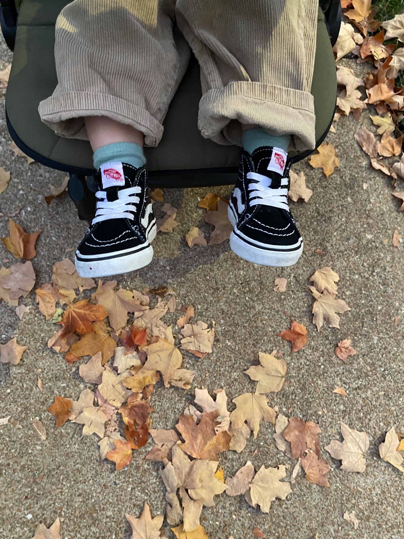 Baby vans are the cutest 🖤🍂



travel stroller, toddler vans, toddler shoes, corduroy toddler pants, toddler boy fashion, toddler boy, toddler boy outfits, Amazon stroller 

#LTKKids #LTKFindsUnder100 #LTKBaby