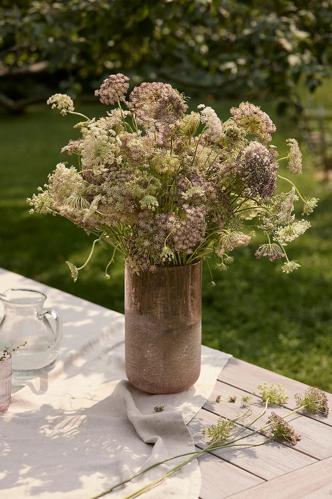 Fresh Chocolate Queen Anne Lace Bunch | Anthropologie (US)