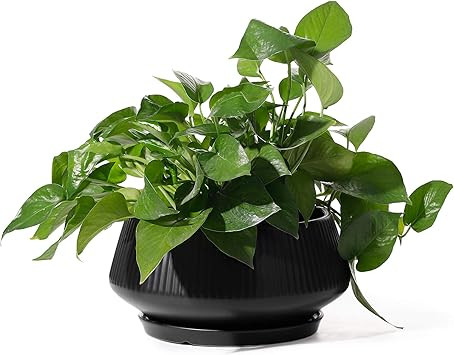 POTEY Large Plant Pots 8.8 Inch Outdoor Indoor Ceramic Plant Pots with Drainage Holes and Plugs f... | Amazon (US)