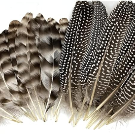 Amazon.com: AWAYTR 20pcs Natural Pheasant Feathers - Pheasant Tail 11-13inch(28-33cm) for DIY Decora | Amazon (US)