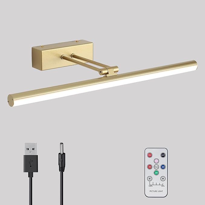 HOWMZON Picture Light, Battery Picture Lights with Remote of Timer and Dimmable, 16" Metal Art Li... | Amazon (US)