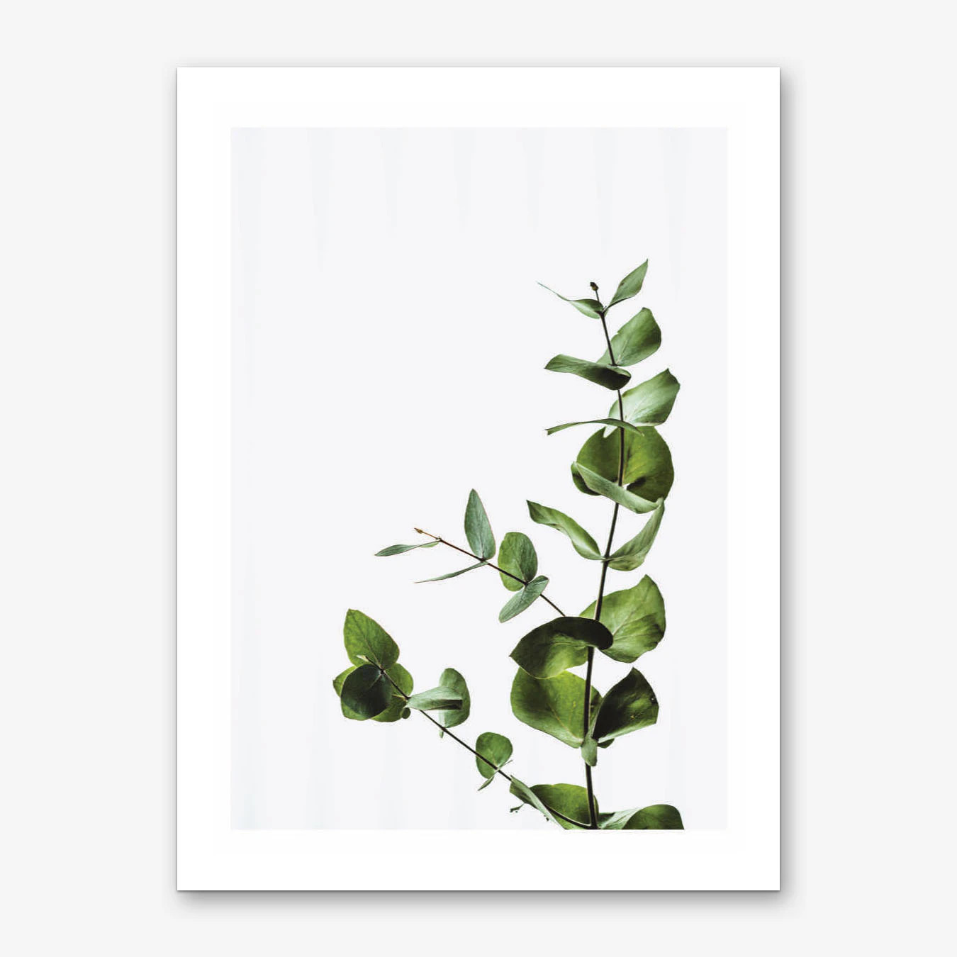 Elegant Green Plant Art Print | Fy! (UK)