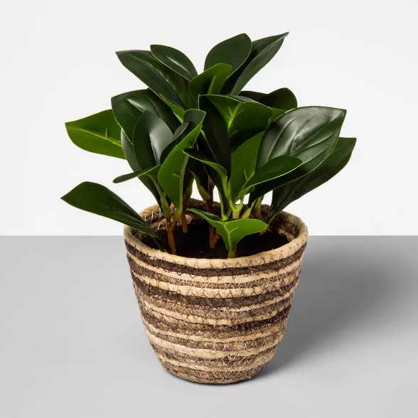 9" x 7" Artificial Greenery Plant in Corn Husk Basket - Opalhouse™ | Target