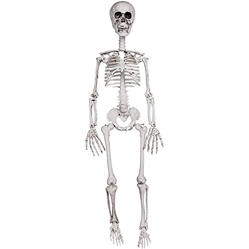 Crazy Bonez Poseable Skeleton Decoration, 36" | Amazon (US)