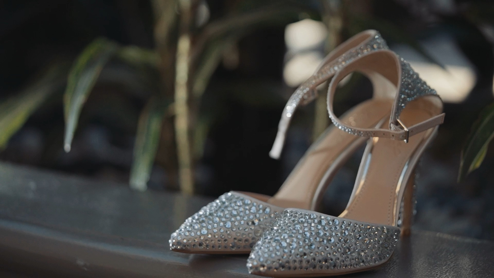 Wedding Shoes 
Video by Frank Ahn Films

Bachelorette engagement elopement bride to be bridal shower

#LTKwedding #LTKshoecrush
