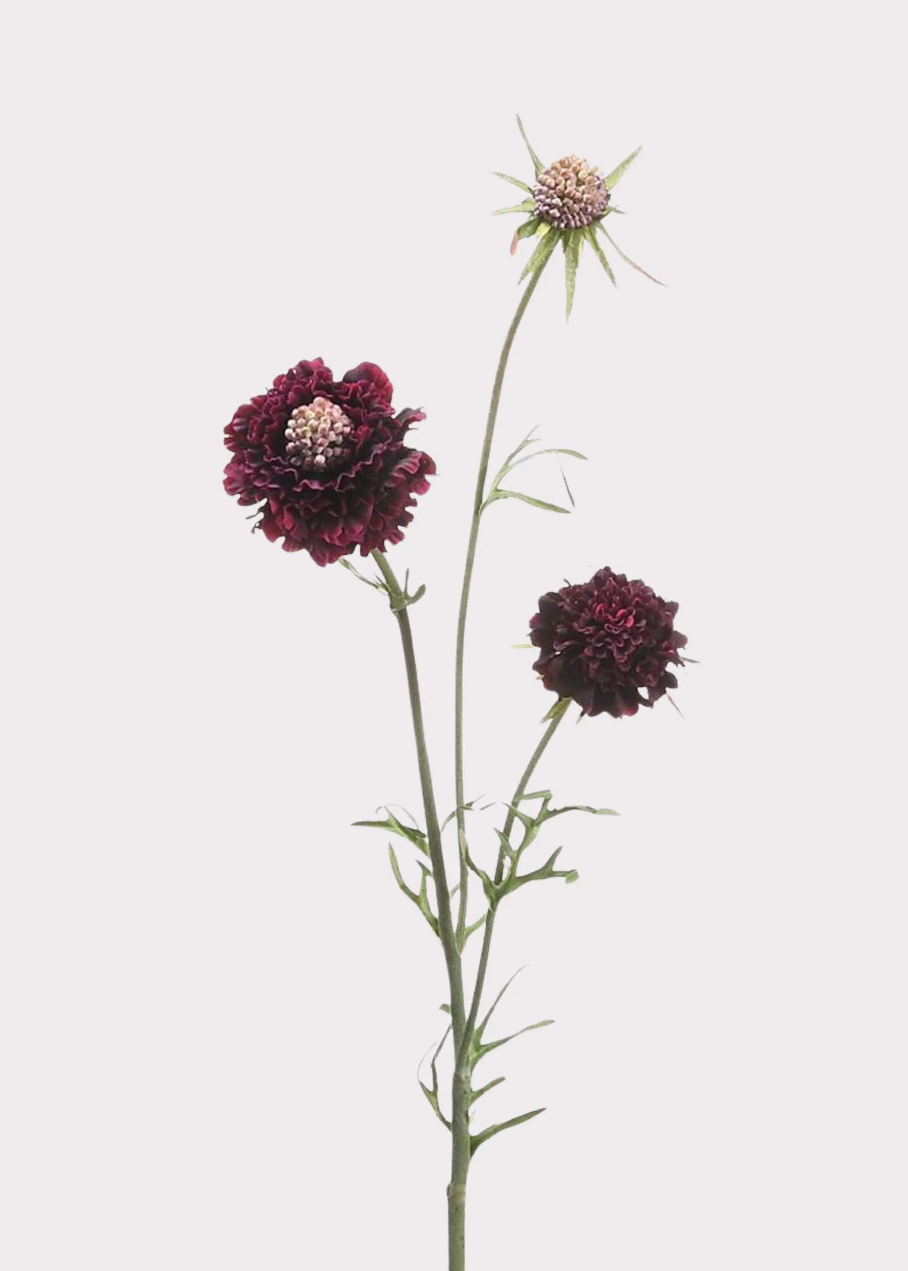 Scabiosa Wildflowers in Eggplant | Fake Flowers for Fall | Afloral | Afloral
